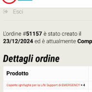 Natale in casa Fornara 2024